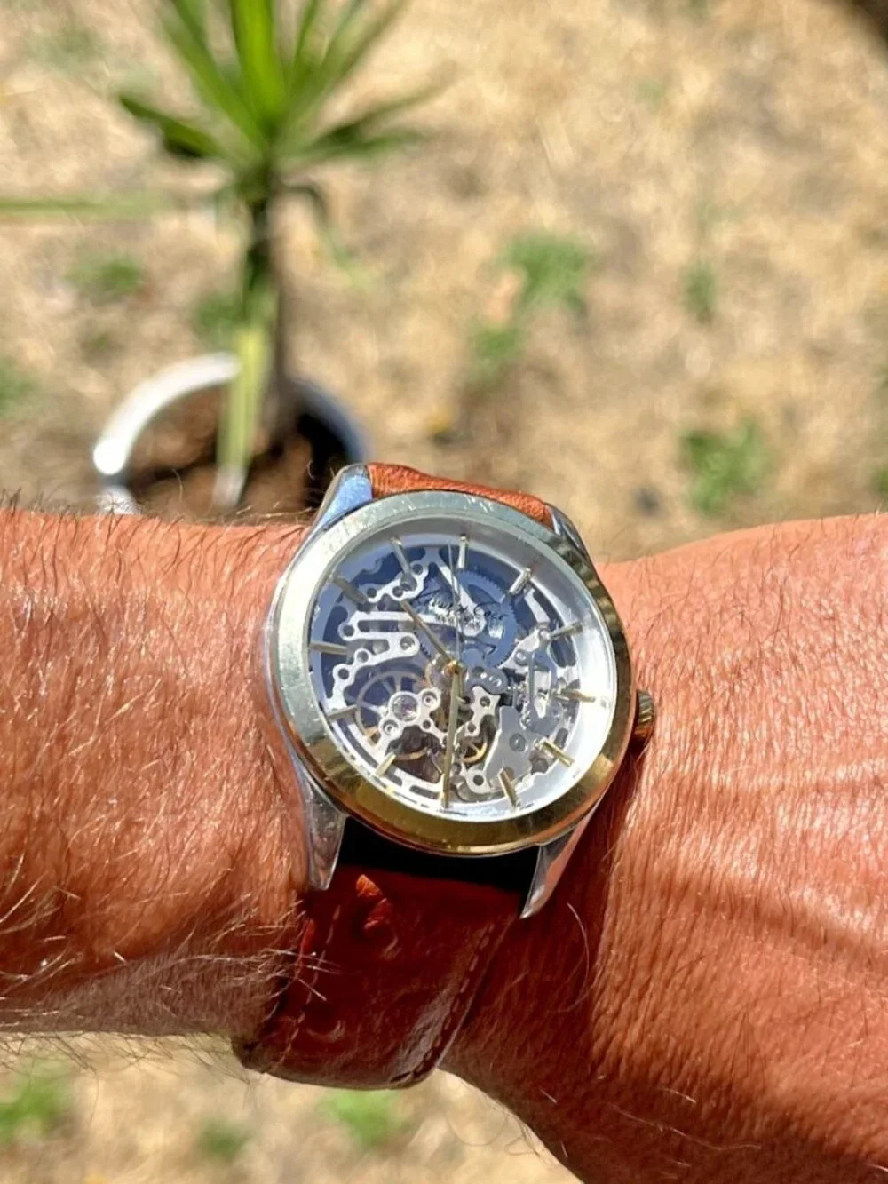 Men's Skeleton Automatic Watch, Steel/Gold Exhibition Case, Ostrich Band